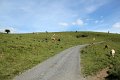 (219) Col d'Aphanize